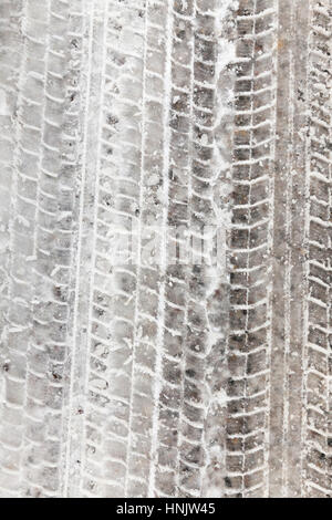 tracks and the track of the car left in the snow. On the surface of visible dirt. Photo close up in winter Stock Photo