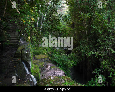 Old stone stairs in the jungle. Bali, Indonesia Stock Photo