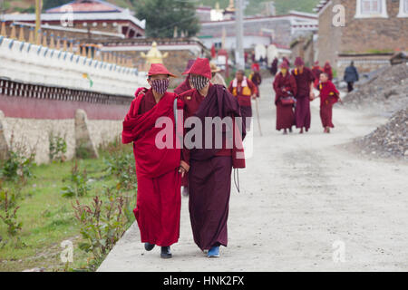 Nuns and monks participate at prayer rituals at the Tagong Tibetan Buddhist nunnery. Stock Photo