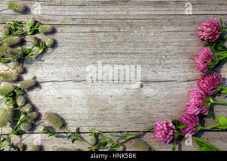 decoration with red clover flowers and leaves on the grey wooden background Stock Photo