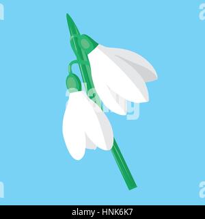 Snowdrops on a blue background. Spring vector illustration. Vector background with snowdrop. Background with flower. Illustration of flowers. Stock Vector