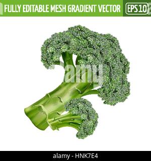 Broccoli on white background. Vector illustration Stock Vector