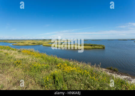Edwin B. Forsythe National Wildlife Refuge as seen from a Wildlife Drive Stock Photo