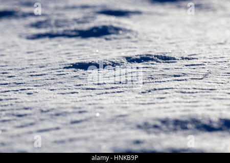 land covered with snow Stock Photo