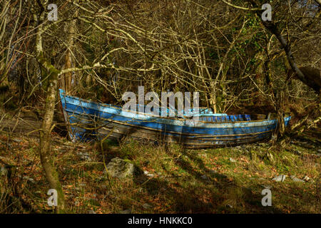 Deserted old wooden blue row boat among trees in woodland, Killarney National Park, County Kerry, Ireland Stock Photo
