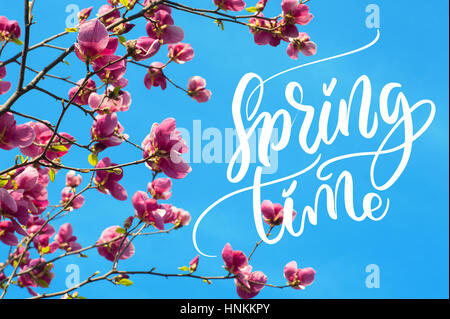 image of blossoming magnolia flowers in spring time and words Spring time. Calligraphy lettering Stock Photo