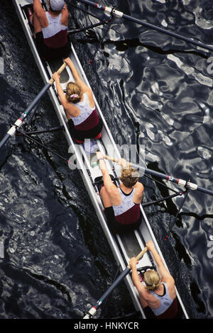 Overhead view of female crew racers rowing scull boat. Stock Photo