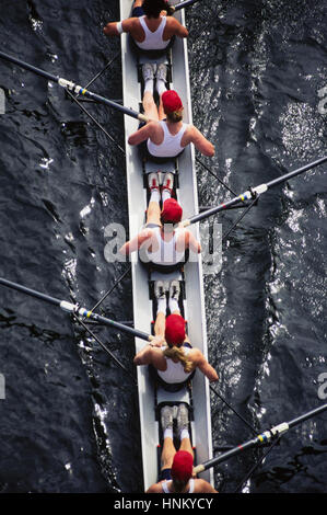Overhead view of female crew racers rowing a sports racing shell.  boat Stock Photo