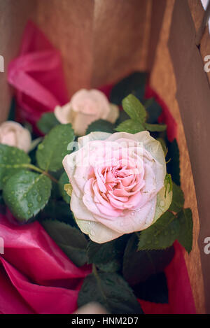 a dusty pink miniature rose in a brown paper bag wrapped as a present