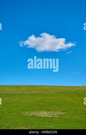 Solitary white cloud in a blue sky over a green field Stock Photo