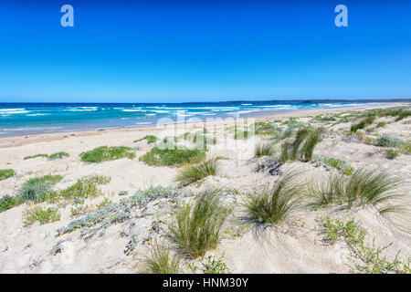 Sand beach at Lake Conjola, Shoalhaven, South Coast, New South Wales, NSW, Australia Stock Photo