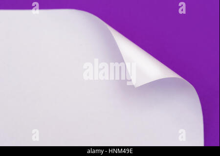 sheet of paper with the wrapped up corner on a purple background Stock Photo