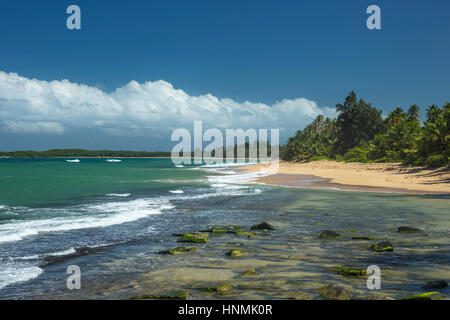 EXPOSED ROCKS PLAYA PINONES BEACH LOIZA PUERTO RICO Stock Photo - Alamy