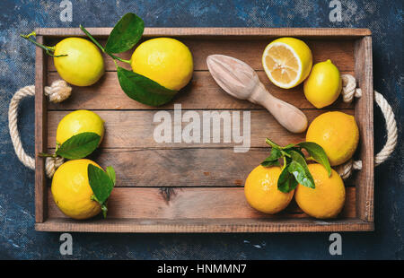 Freshly picked lemons with leaves in wooden box over dark blue shabby plywood background, top view, copy space, horizontal composition Stock Photo