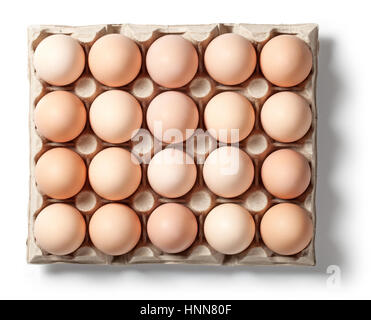 Chicken eggs in container with natural shadow isolated on white background. Top view Stock Photo