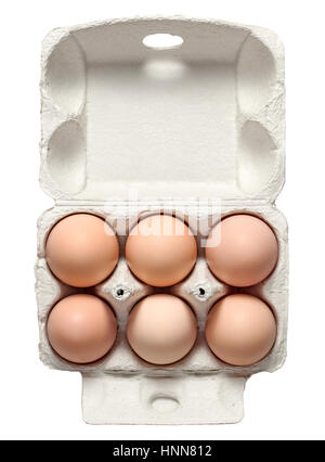Fresh chicken eggs in container with natural shadow isolated on white background. Top view Stock Photo