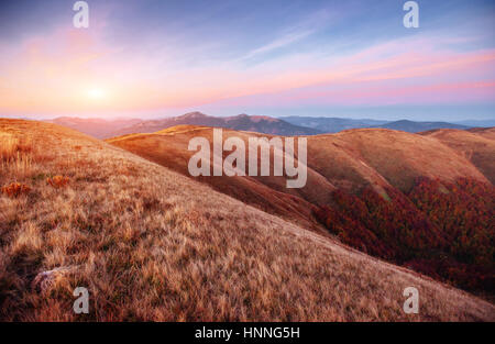 forest in sunny afternoon while autumn season. Carpathian Stock Photo