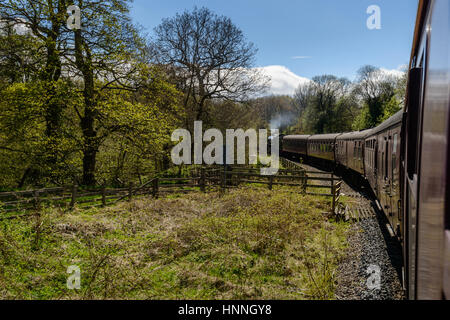 A traditional North Yorkshire Moors Railway steam train going through woodland on its way from Whitby to Grosmont Stock Photo