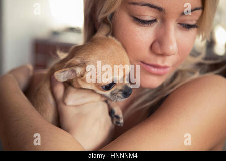 Close-up of teenage girl carrying Chihuahua dog Stock Photo