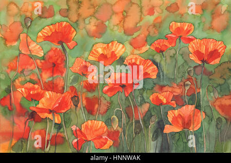 poppies sunny field watercolor background Stock Photo