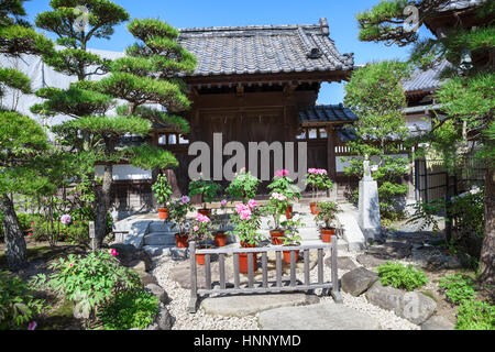 KAMAKURA, JAPAN - CIRCA APR, 2013: Spring garden with blooming flowers is in the Hasedera shrine. The Hase-kannon (Hase-dera) is one of the Buddhist t Stock Photo