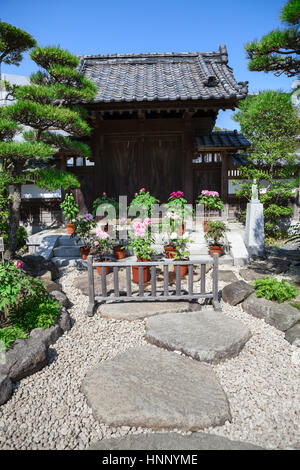 KAMAKURA, JAPAN - CIRCA APR, 2013: Spring garden with blooming flowers and trees is in the Hasedera shrine. The Hase-kannon (Hase-dera) is one of the  Stock Photo