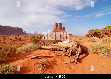 Amazing Monument Valley in the USA Stock Photo