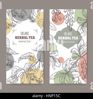 Two modern labels for linden and barberry herbal tea. Stock Vector