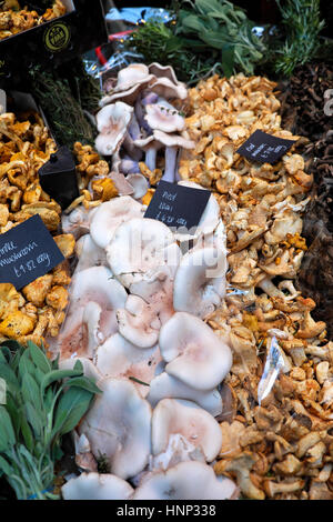 Mushroom display on stall at Borough Market near London Bridge in Southwark, South London, UK  KATHY DEWITT Stock Photo