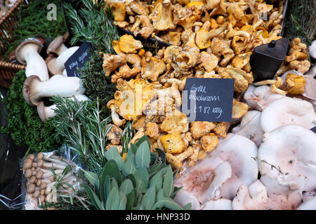 Small trays with various mushrooms chanterelle and girolle on display on stall at Borough Market in Southwark, South London, UK  KATHY DEWITT Stock Photo