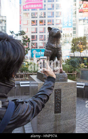 Bronze statue of Akita dog Hachikō ( Hachiko ) at Shibuya station Tokyo , Japan Stock Photo