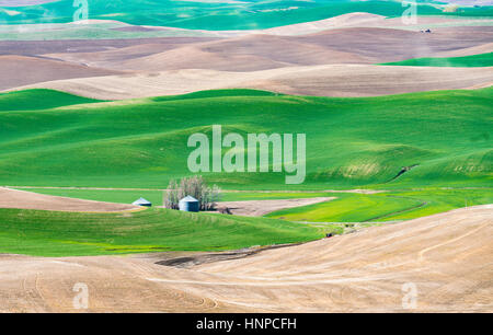 Steptoe butte on the day in spring season,Washington,usa. Stock Photo