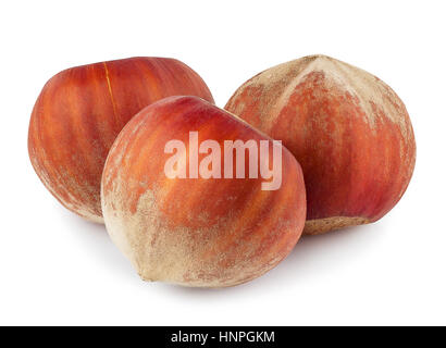 Nuts filberts isolated on white background. Three whole hazelnuts isolated on white background closeup macro. Hazelnuts Stock Photo