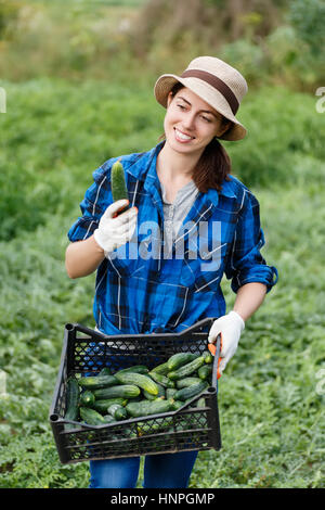 Gardener with freshly harvested cucumbers in garden. Woman with a crate with healthy fresh organic cucumbers. Harvest. Happy woman with vegetables har Stock Photo