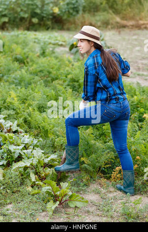 Harvesting. Girl farmer with spade in the vegetable garden. Young woman harvesting beetroot on the field. Woman digging out beetroot with spade. Autum Stock Photo