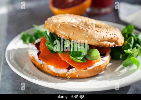 Bagel with cream cheese, smoked salmon and beetroot Stock Photo