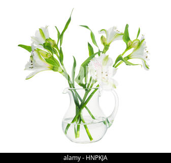 bouquet of alstroemeria flowers in transparent vase isolated on white background, close up, mock up Stock Photo