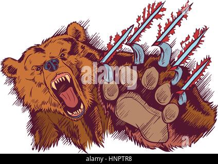 Vector Cartoon clip art illustration of a brown bear mascot slashing or clawing at the foreground. Stock Vector