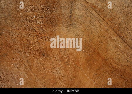 Holz Jahresringe Stock Photo