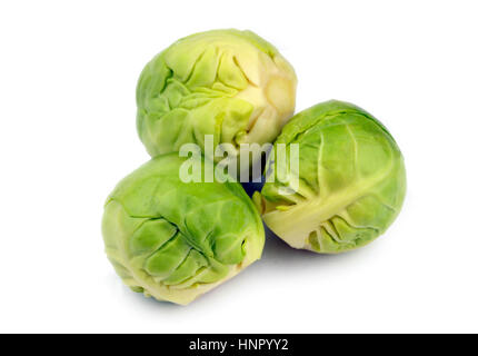 Trio of fresh raw uncooked brussels sprouts, brassica oleracea. Stock Photo