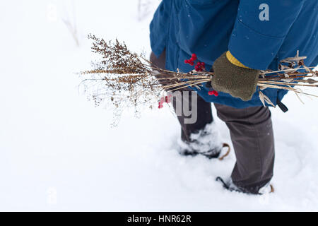 Dried bouquet of wild flowers and red berries of viburnum in a man's hand in the winter on snowy background. Stock Photo