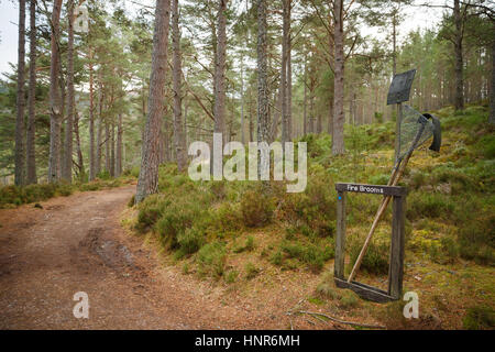 Bush fire in forest woodland. Australia Stock Photo - Alamy