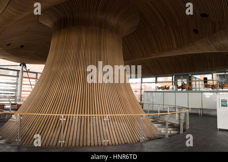 A general view of interior woodwork on the ceiling and funnel of the Senedd, home of the Welsh Assembly, in Cardiff Bay, South Wales, UK. Stock Photo