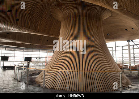 A general view of interior woodwork on the ceiling and funnel of the Senedd, home of the Welsh Assembly, in Cardiff Bay, South Wales, UK. Stock Photo