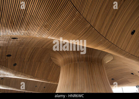 A general view of interior woodwork on the ceiling and funnel of the Senedd, home of the Welsh Assembly, in Cardiff Bay, South Wales, UK. Stock Photo