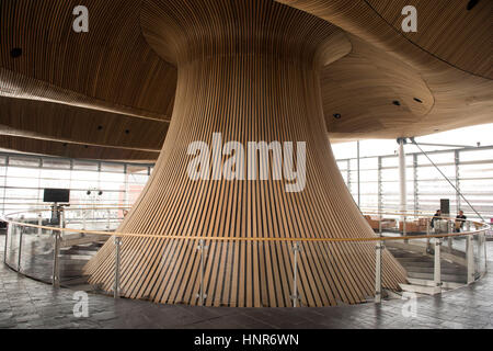 A general view of interior woodwork on the ceiling and funnel of the Senedd, home of the Welsh Assembly, in Cardiff Bay, South Wales, UK. Stock Photo