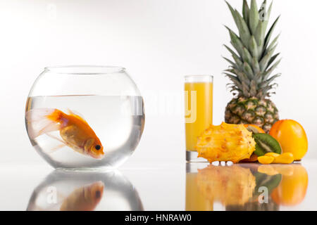 Round aquarium with golden fish ibside placed next to assorted tropical fruits on a white background Stock Photo