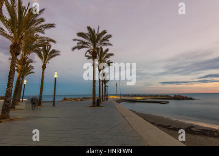 Palms on city famous promenade in Torrevieja, Spain at blue hour Stock Photo