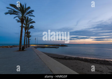 Palms on city famous promenade in Torrevieja, Spain at blue hour Stock Photo