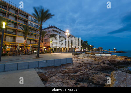 Palms on city famous promenade in Torrevieja, Spain at blue hour Stock Photo